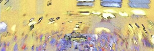 SilkCharm Profile Banner