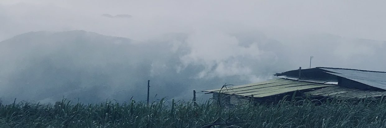 dedosenuve's profile banner image