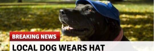 DugDugadome's profile banner image