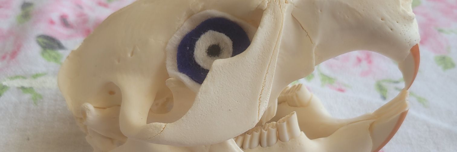 fwonkadora's profile banner image