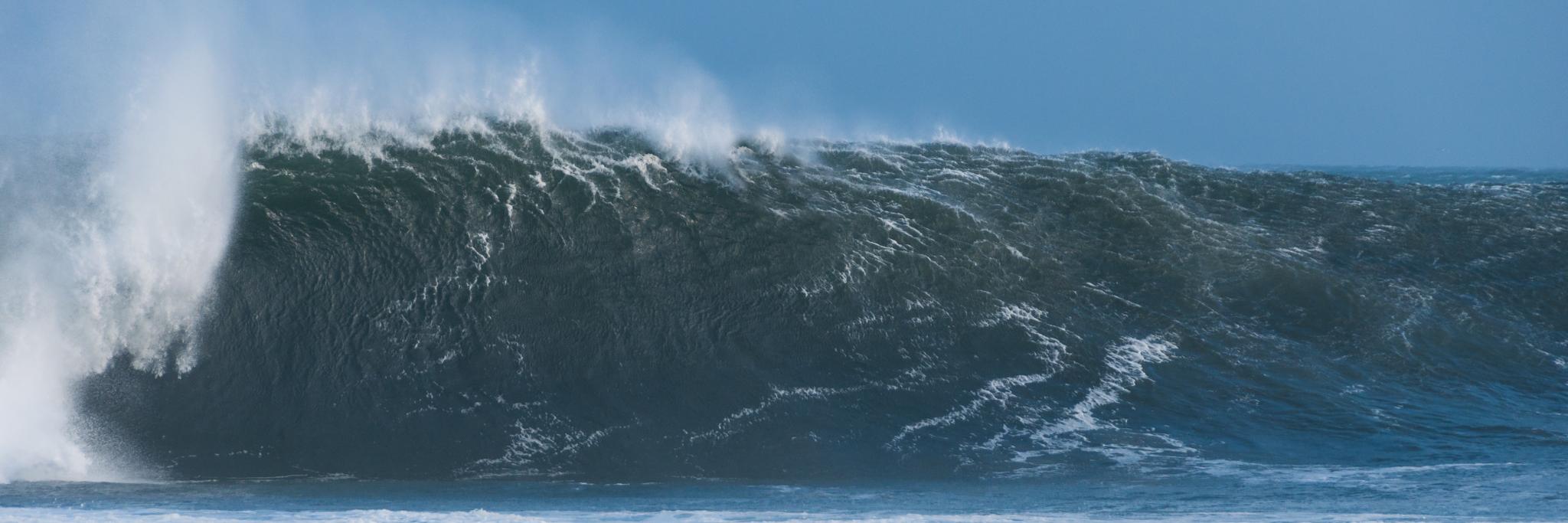 Wave Energy Scotland banner