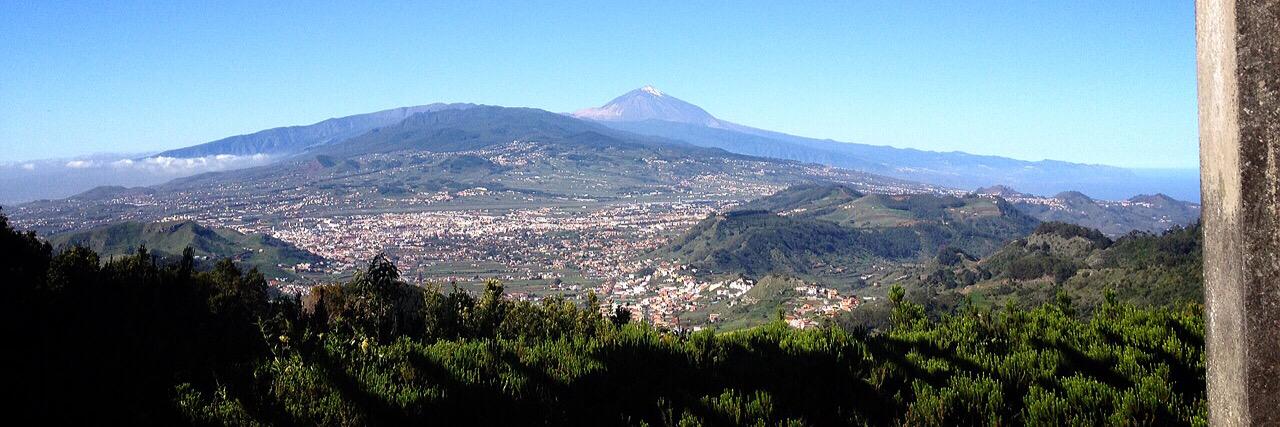tfebuencomer's profile banner image