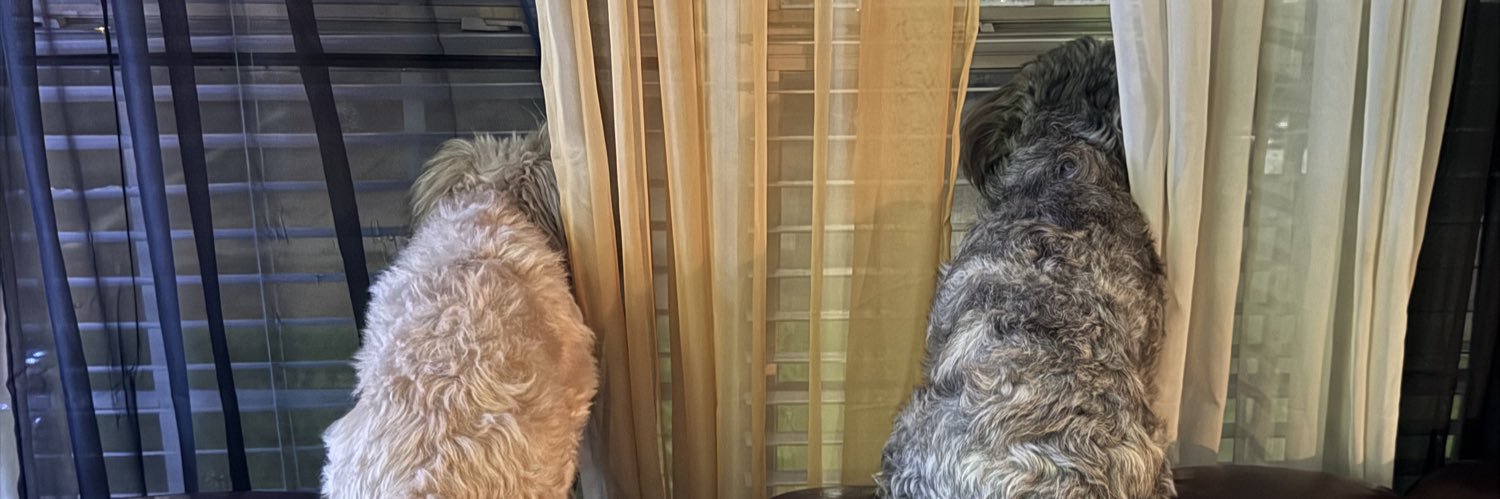 AprilDWatkins's profile banner image