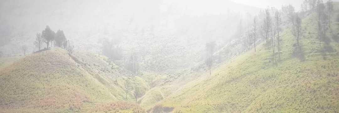rikrickyy's profile banner image