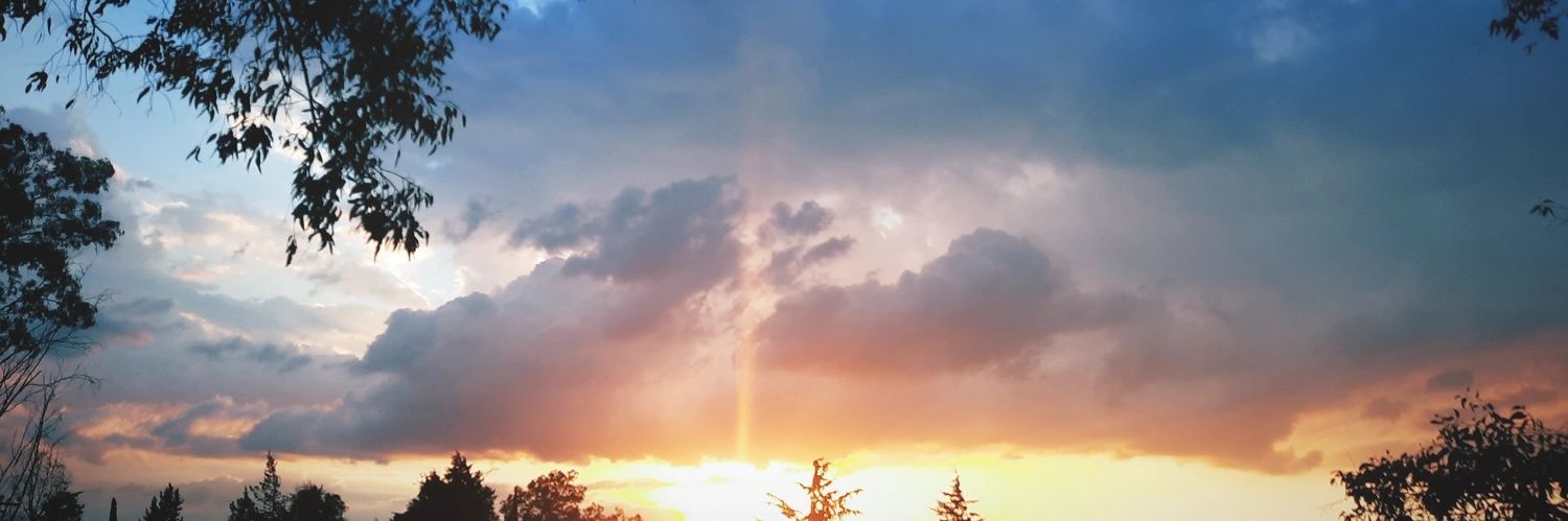 Rockolina's profile banner image