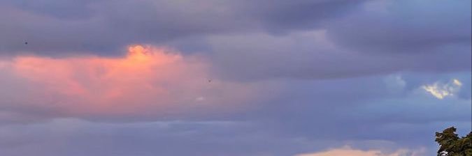 _F008's profile banner image