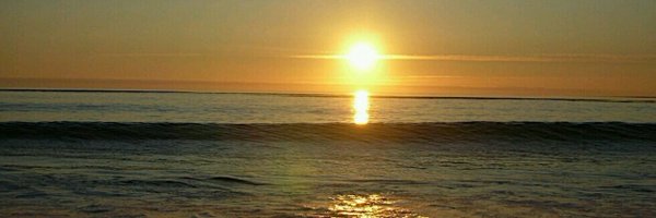 anandsays Profile Banner