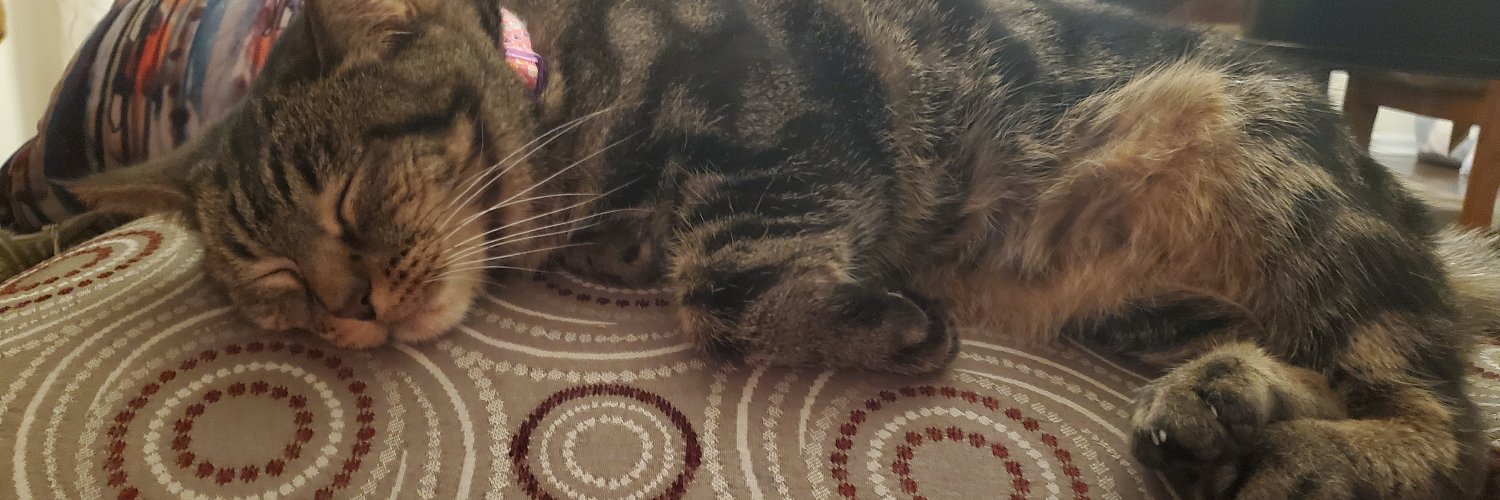 Ben Morelli Memorial Page 🇺🇸🇺🇦🇹🇼 banner