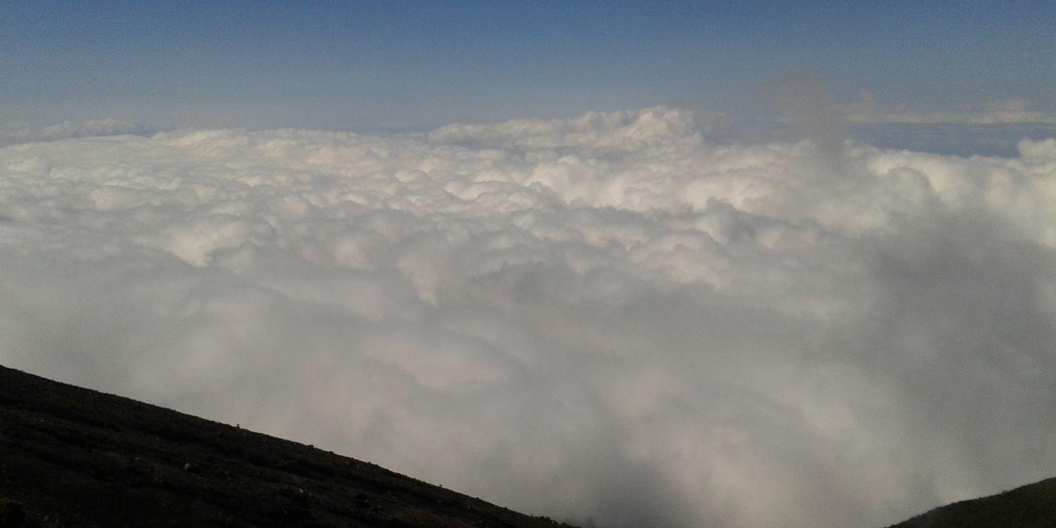 roya_rj's profile banner image
