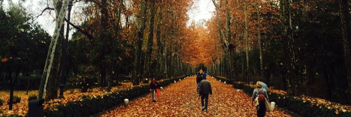 Isabel_Losada's profile banner image