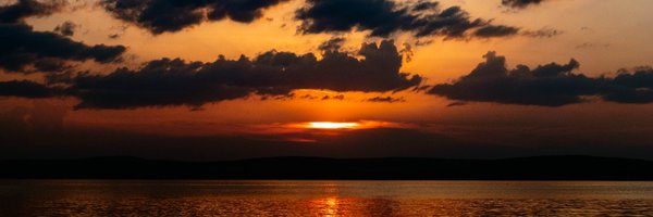 TinyLeanYeen Profile Banner