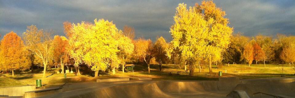 Austin Williams banner