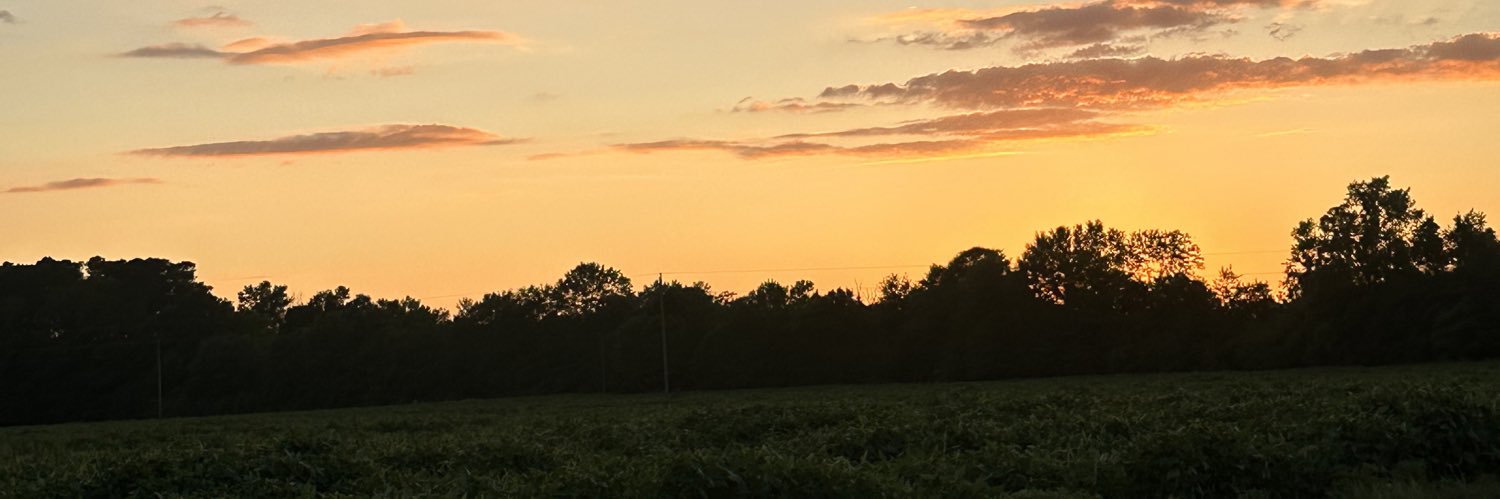 TamiahJade's profile banner image