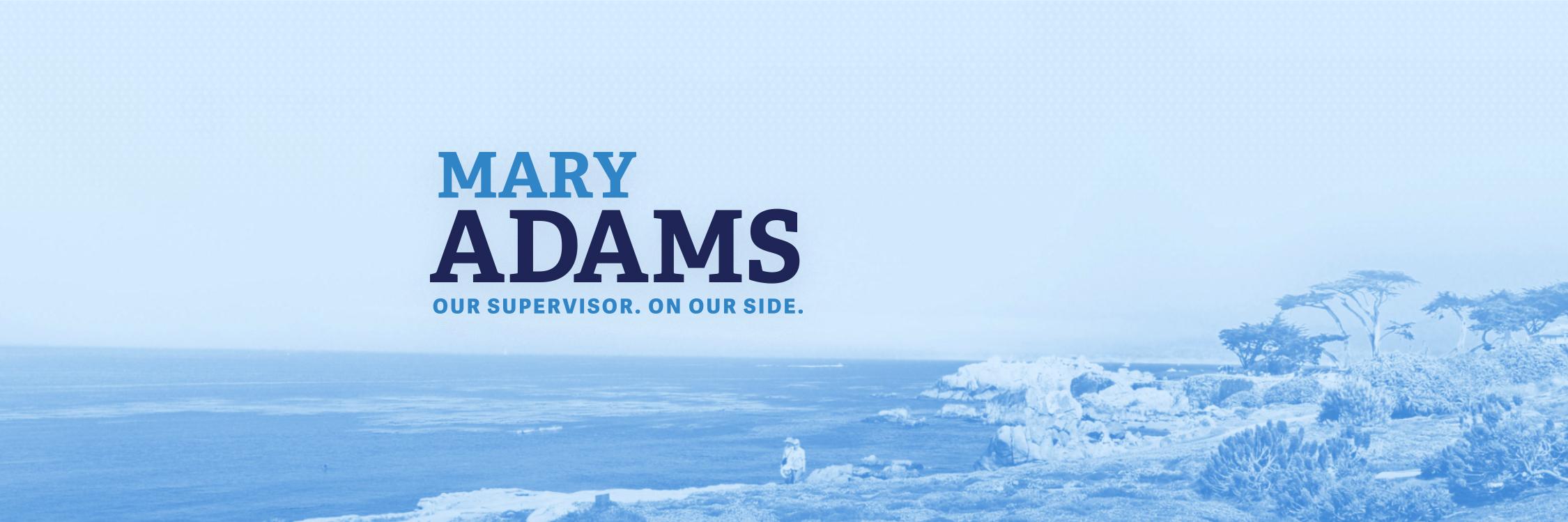 MaryLAdams's profile banner image
