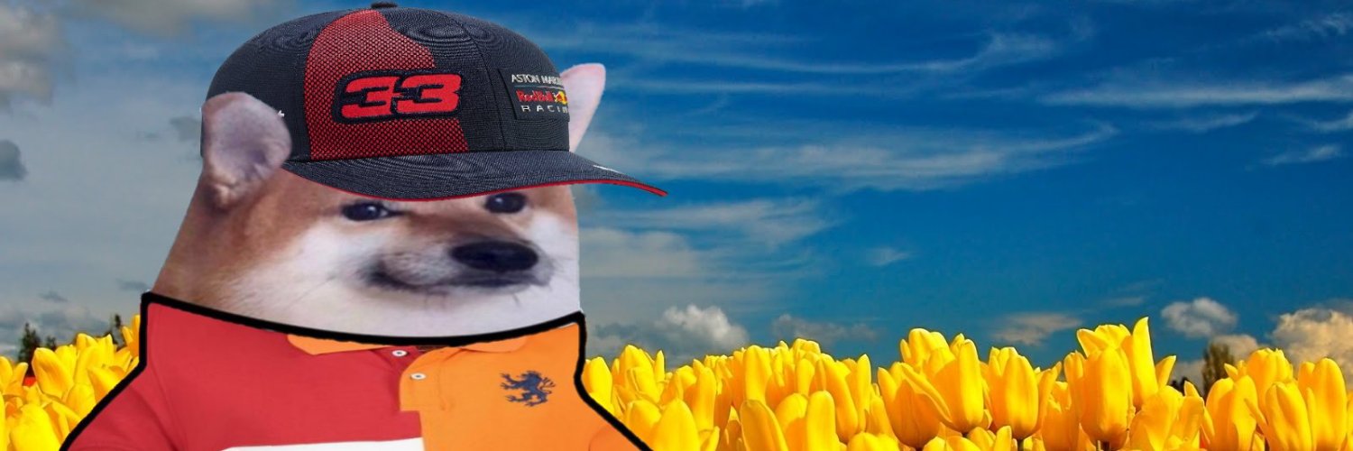 Synthale's profile banner image