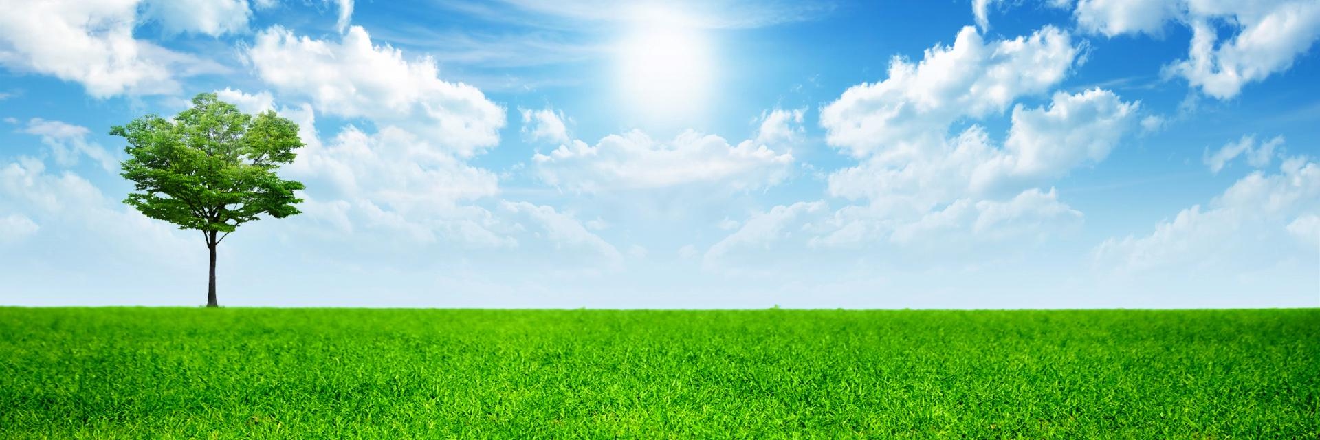 telegea_org's profile banner image