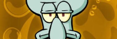 PP banner