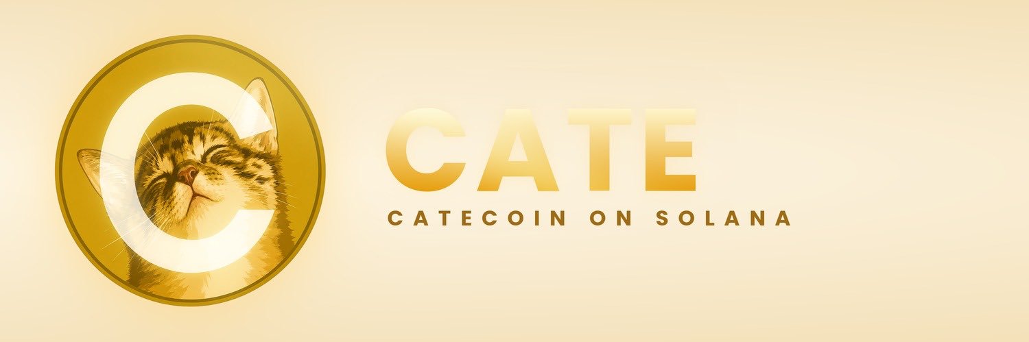Cate0nSol_'s profile banner image