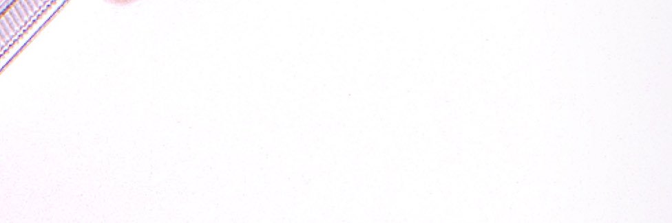 ぁ banner