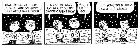 Thom – e/ach hans run banner