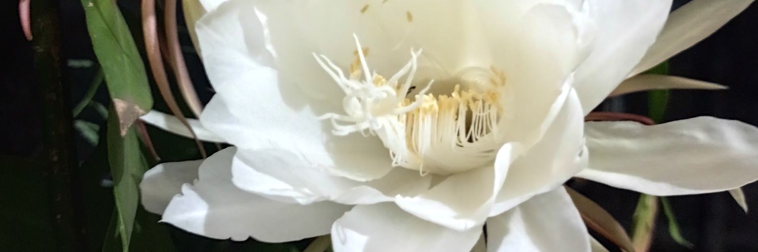 akbar_doangan's profile banner image