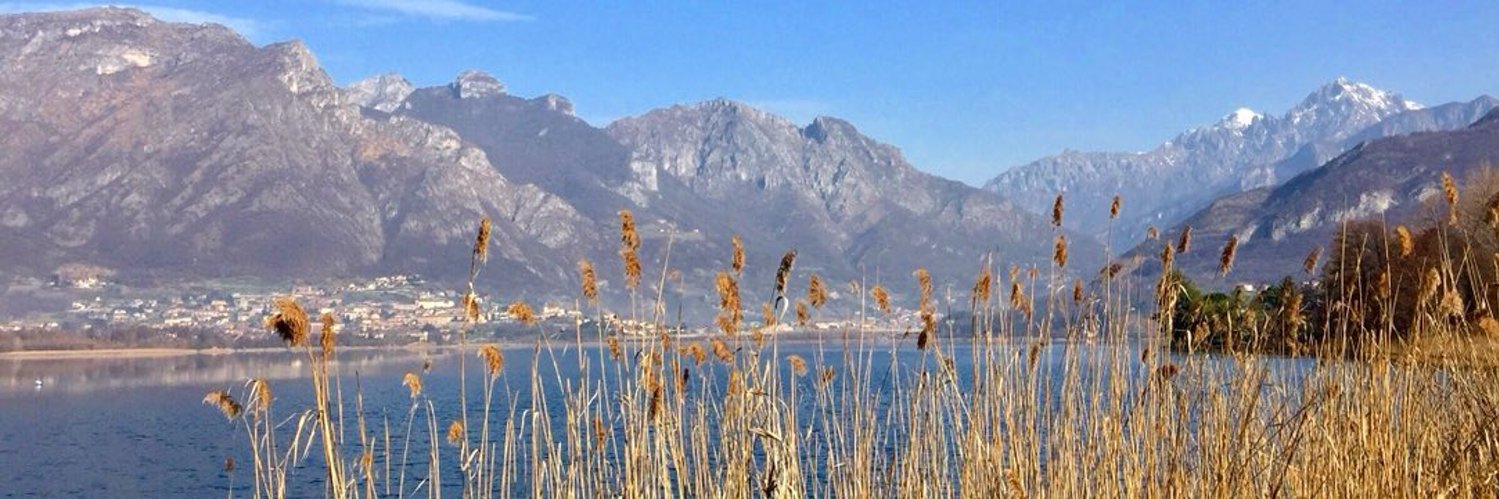 Patrizia M.B. banner