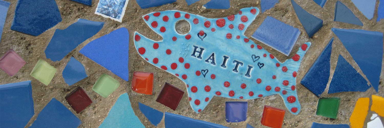 Haiti Development Institute banner