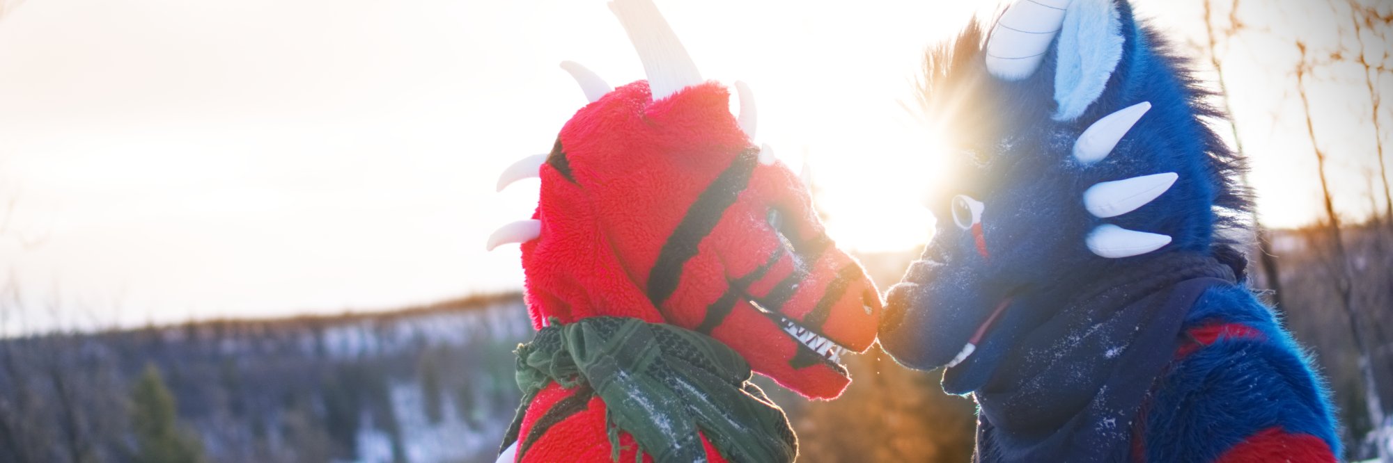 Drako banner