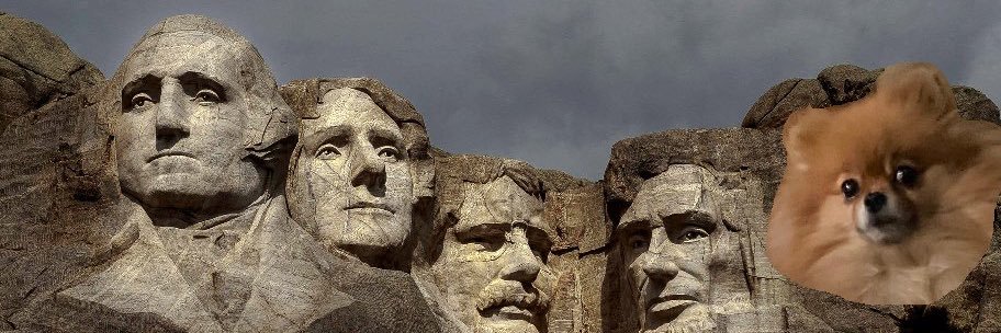 kelsey shamburger banner