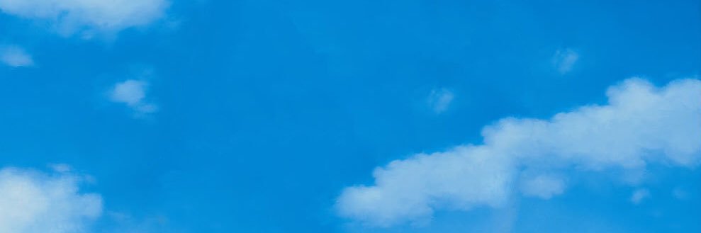 Renato Pagnani banner