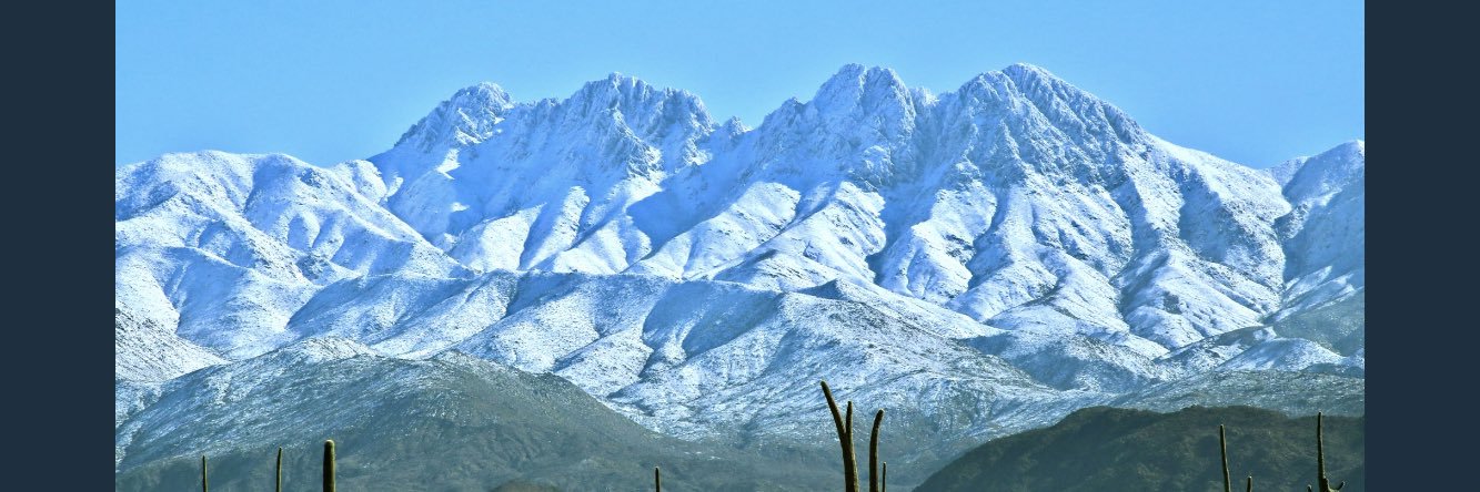 PHX Sun since ‘91 banner