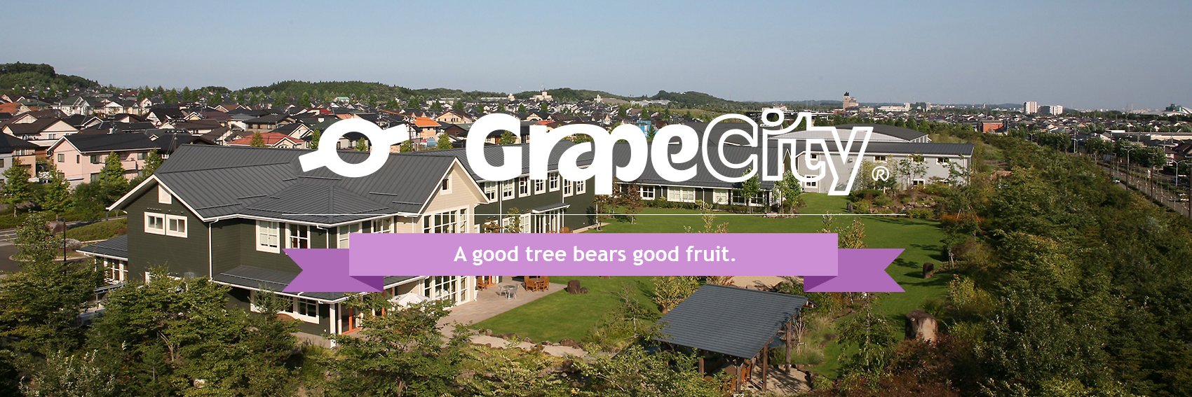 GrapeCity banner