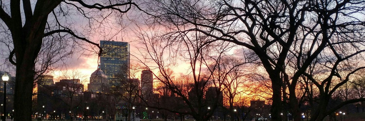olivia_vanni's profile banner image