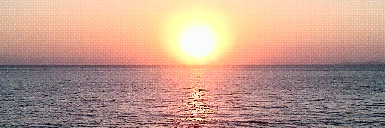 Alter_hund's profile banner image