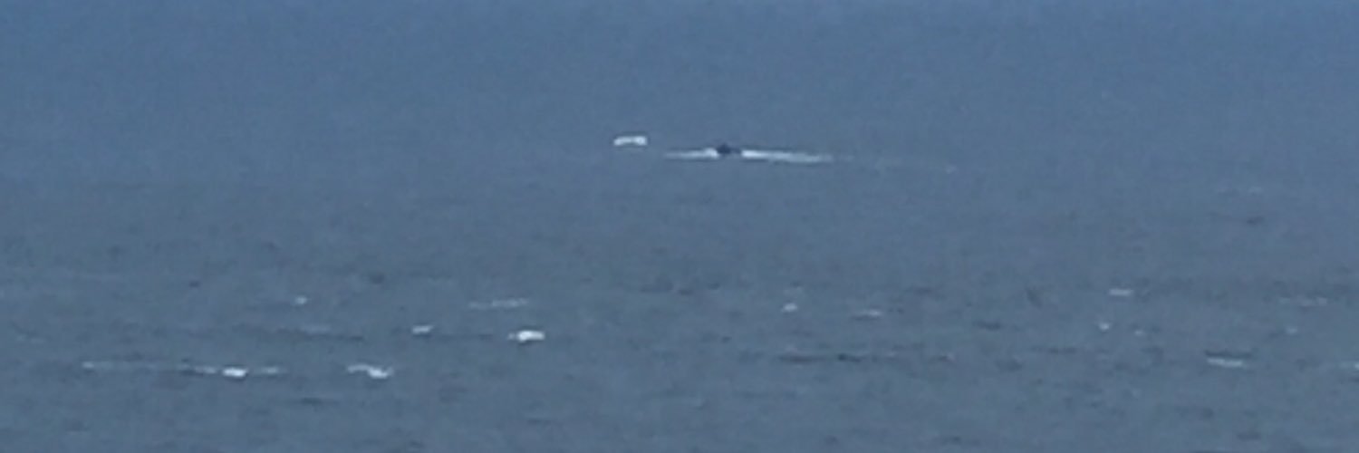 Pradeep Mohan banner