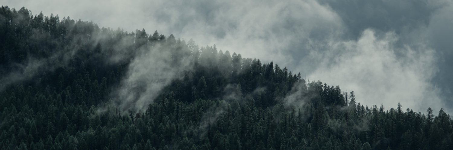 spvncer's profile banner image
