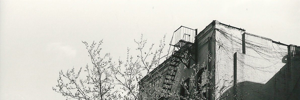c_zippel's profile banner image