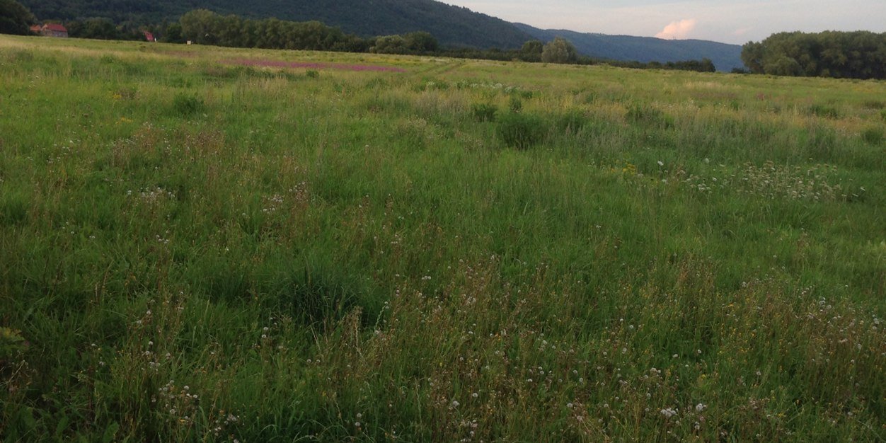 مزارع من الوفرة banner