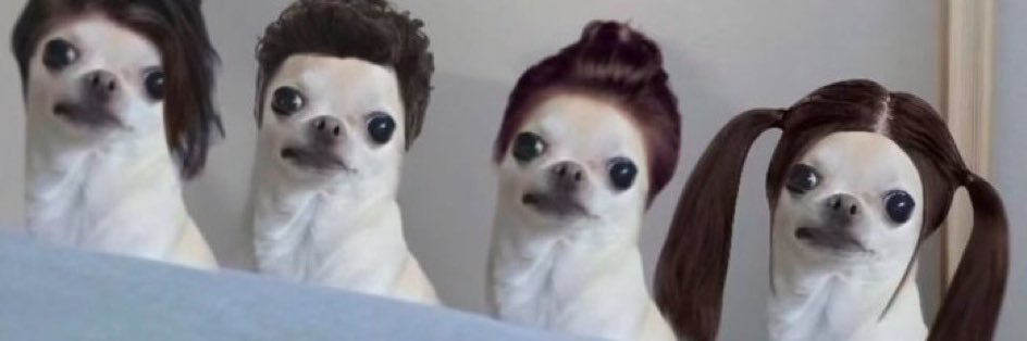 Yuii◡̈ & coconut🐶 banner