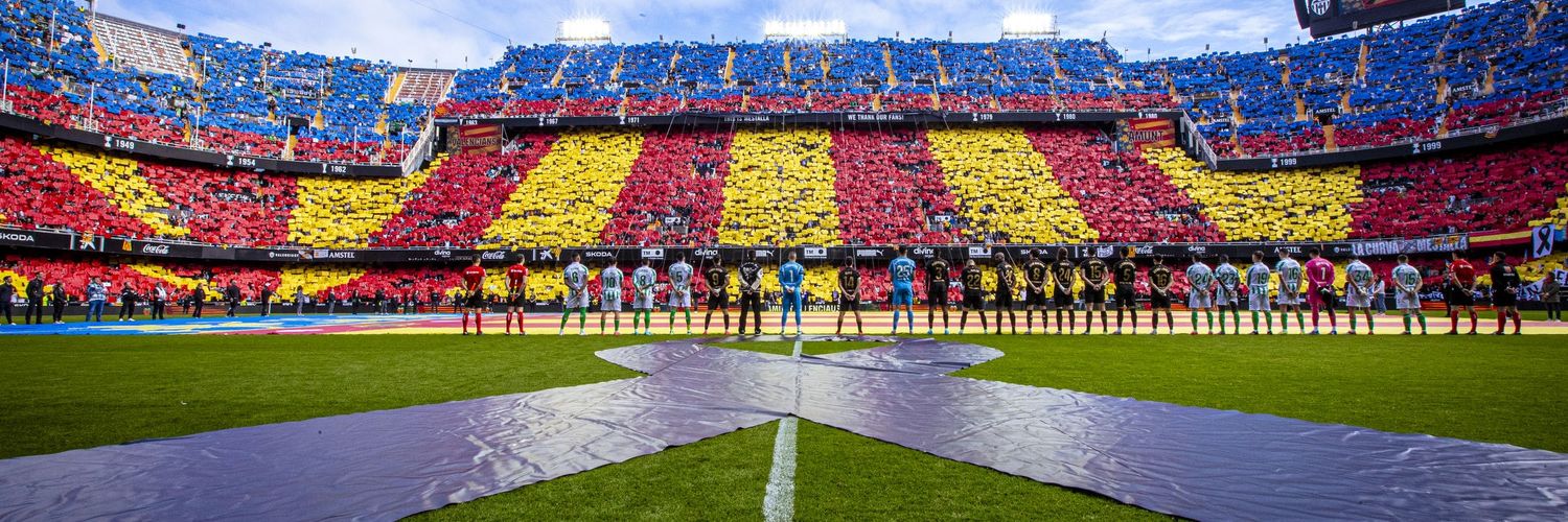 virginia zapater banner