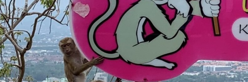 don_cook's profile banner image