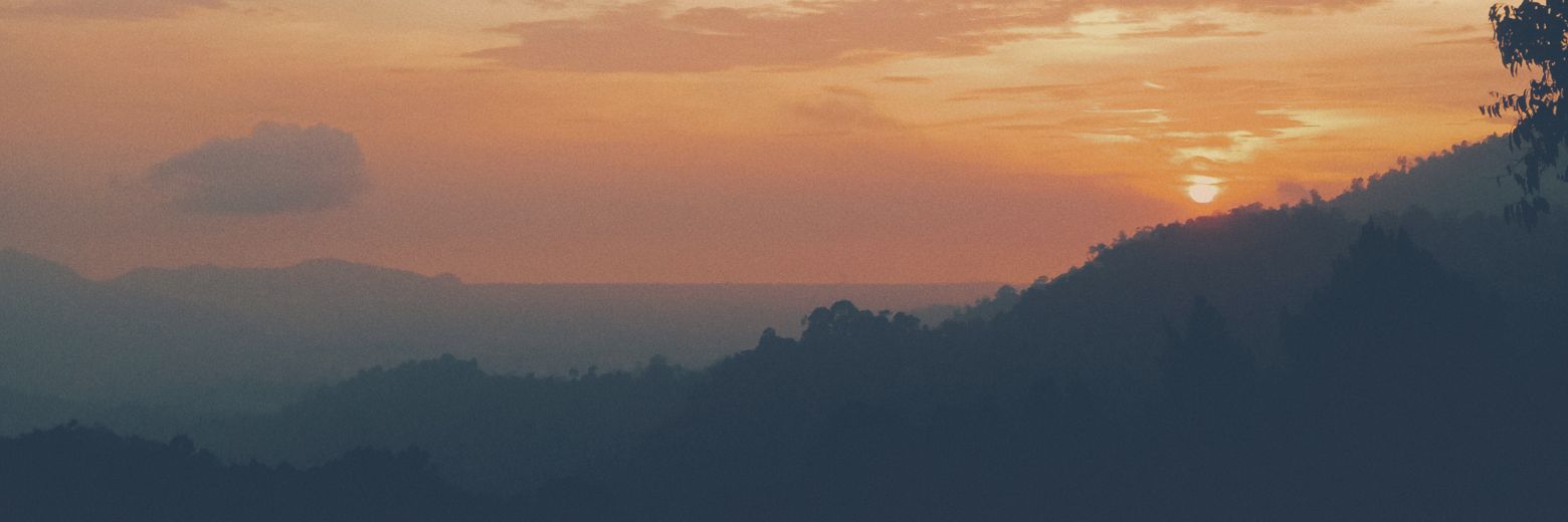 Kalerengsusu's profile banner image