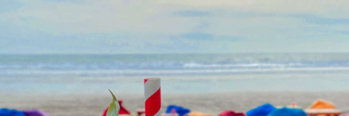 prillywrr's profile banner image