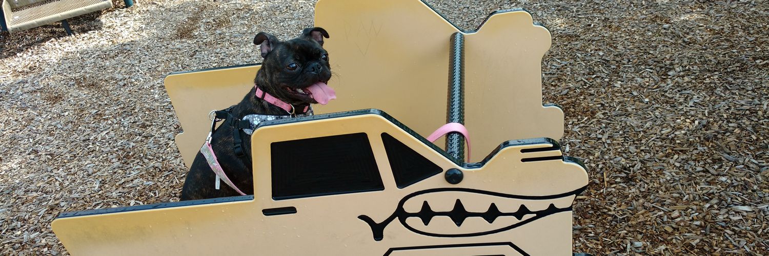 AngeltheBugg's profile banner image