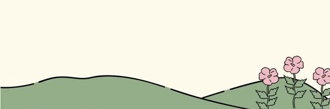AyhanSelin's profile banner image
