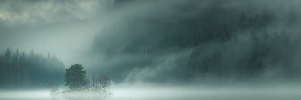 SQ_Lisa's profile banner image
