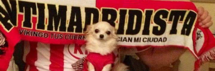 Tito_Atletico's profile banner image