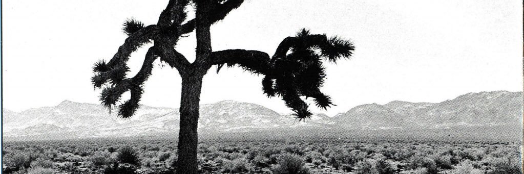 TanguyFowler's profile banner image