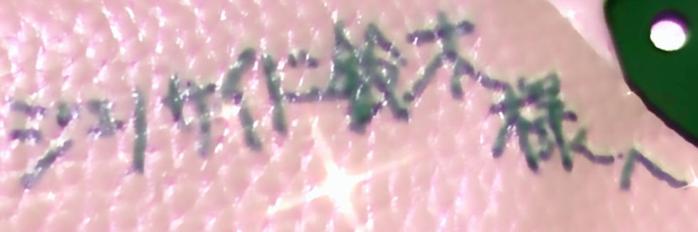 ___TOMNIGOD___'s profile banner image