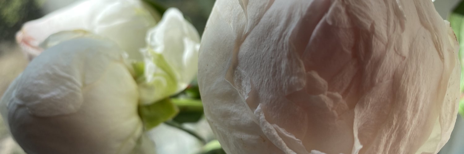 Irin_dream's profile banner image